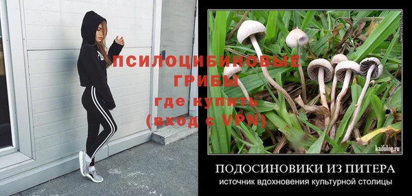 гидра Алзамай