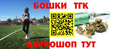 гидра Ставрополь