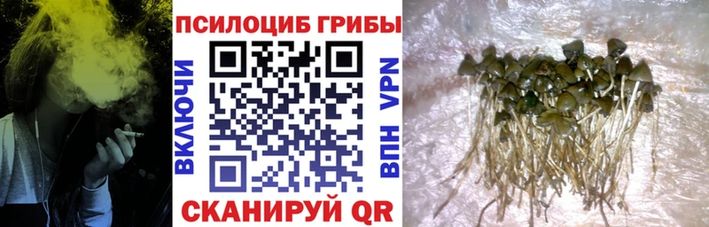 Галлюциногенные грибы прущие грибы  дарнет шоп  Татарск 