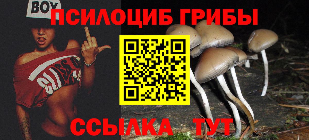 Татарск  Галлюциногенные грибы Magic Shrooms  Псилоцибиновые грибы Magic Shrooms  Вход с VPN 